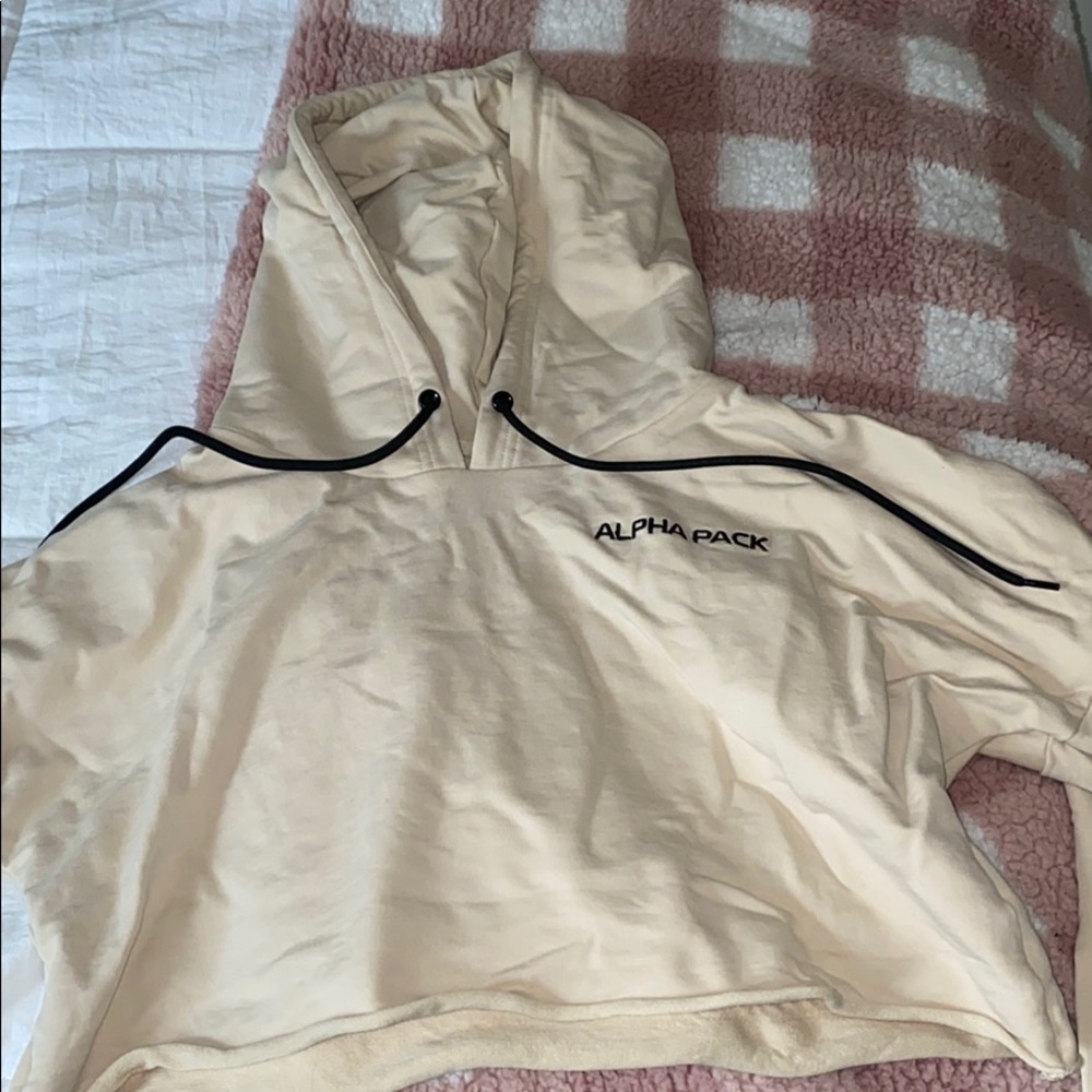 Alpha pack cropped hoodie